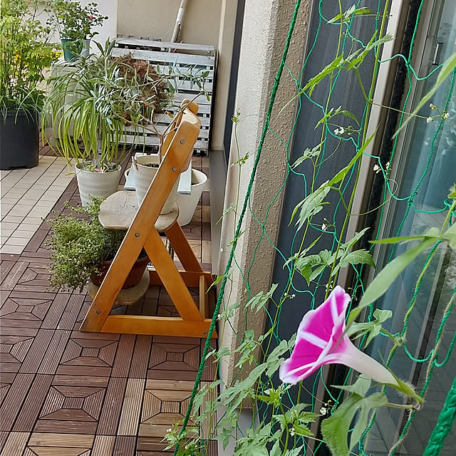 iketoさんの実例写真