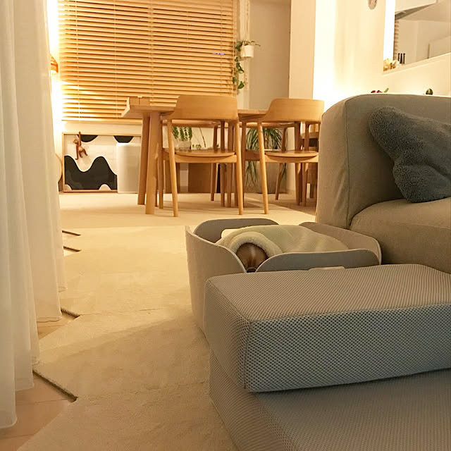 haruhinaさんの実例写真
