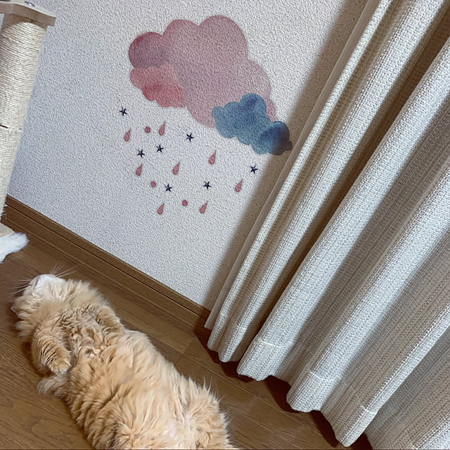 HULAさんの実例写真