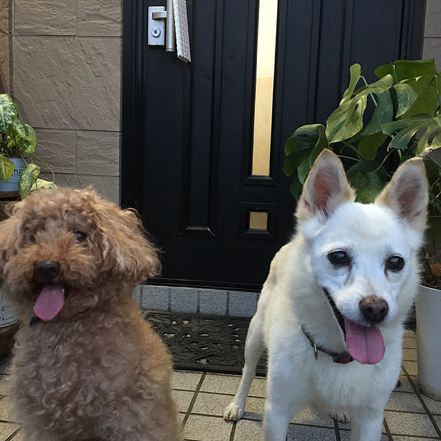 実例写真