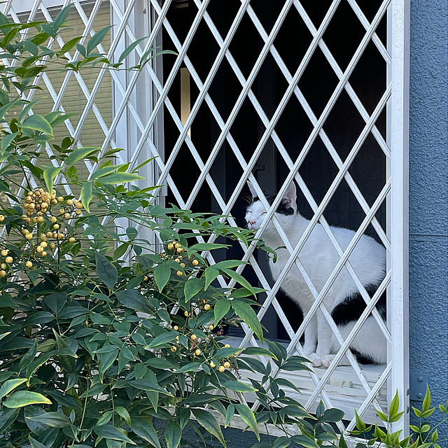 ykkap_officialさんの実例写真