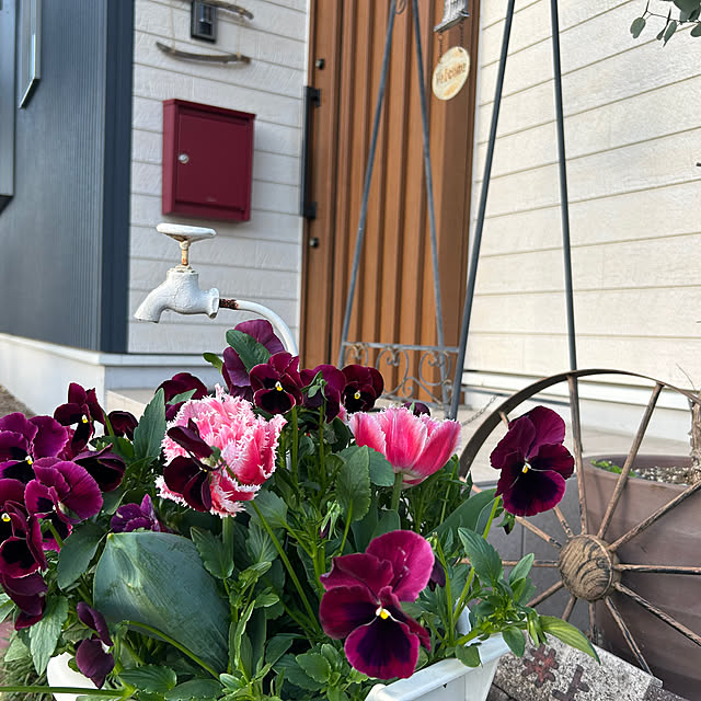 ya-さんの実例写真