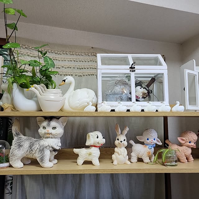 ANTENNAさんの実例写真