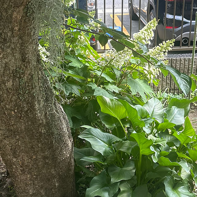 botanさんの部屋