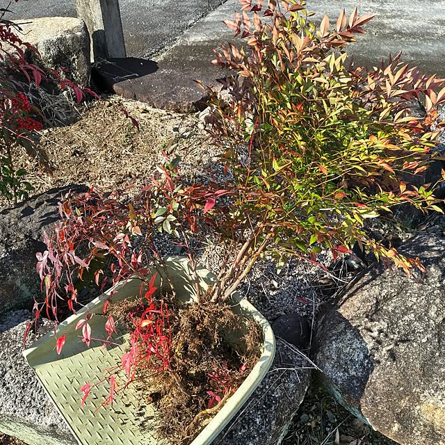 Rubiconさんの実例写真