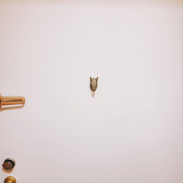 ynmjgfvさんの実例写真