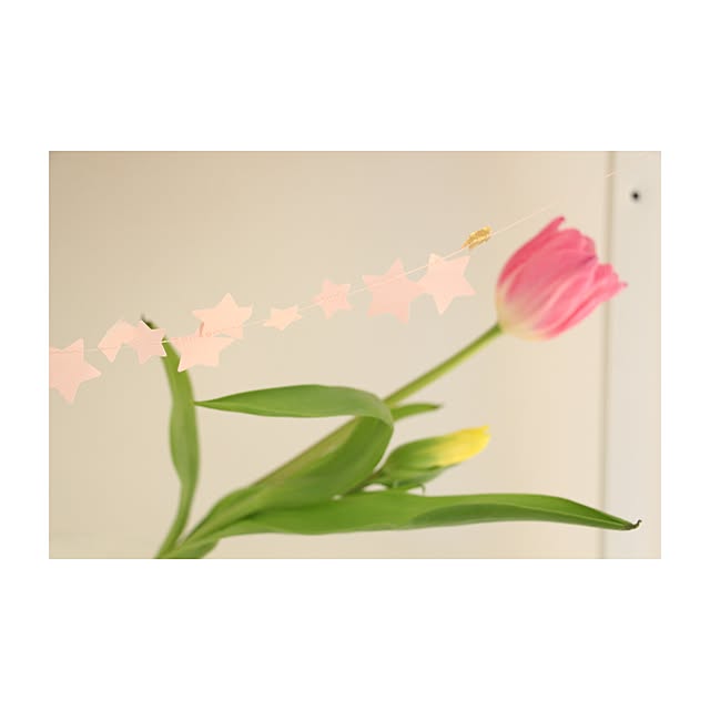 marumusi33さんの実例写真