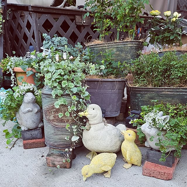 mocomocoさんの実例写真