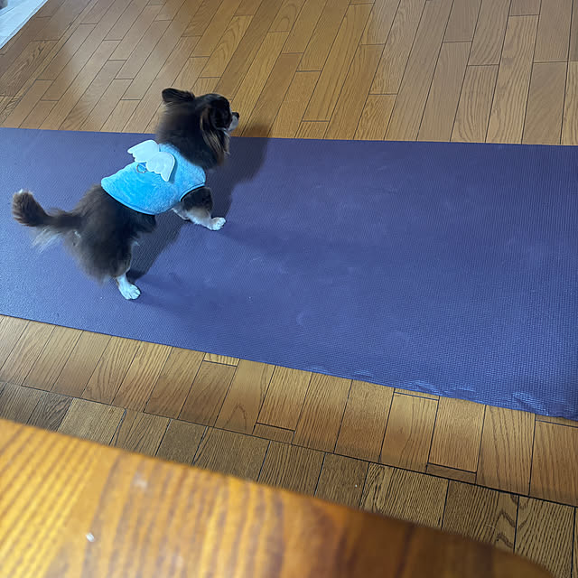 chIoeさんの部屋