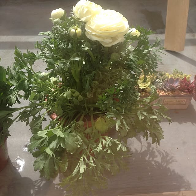 saqura_apartment101さんの実例写真