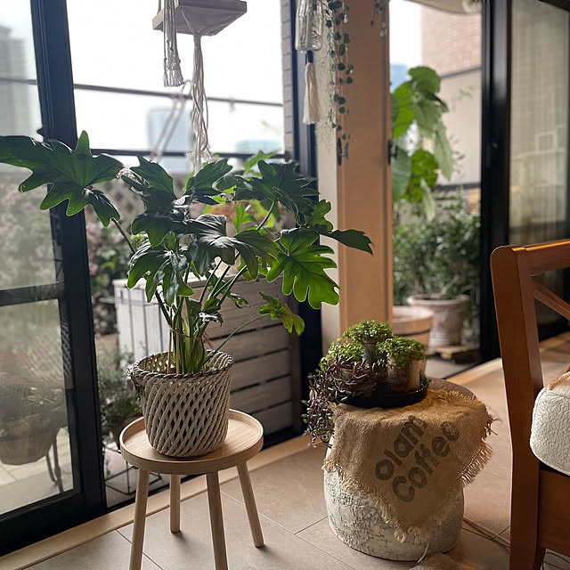 momo_sanさんの部屋
