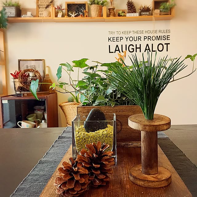 ElliottLeopard4523さんの実例写真