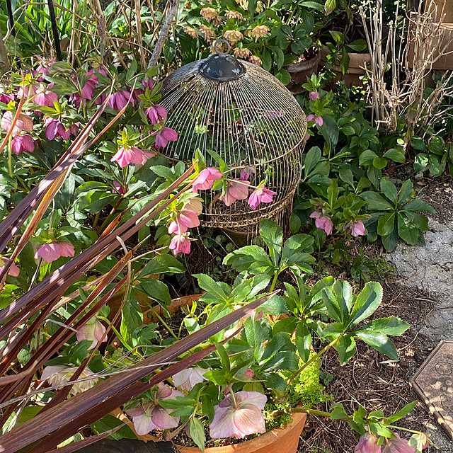 mintteaさんの部屋