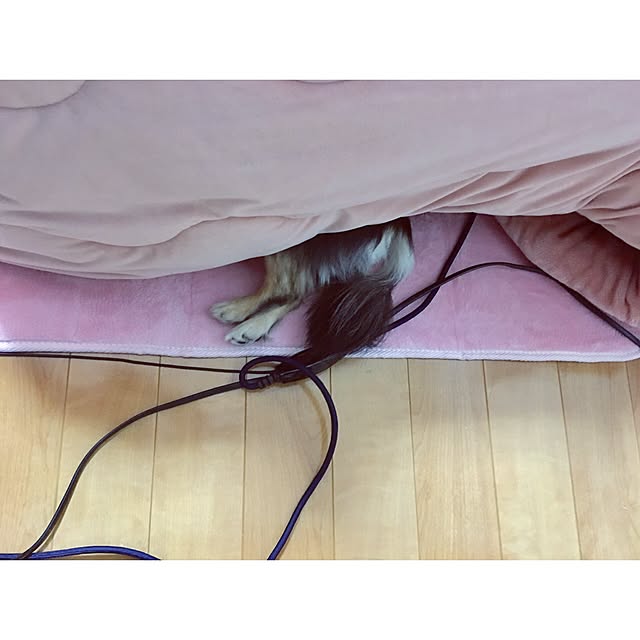 Bi_27さんの実例写真