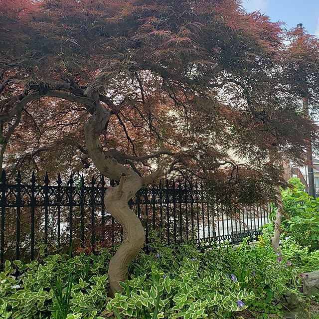 Mayumi8888さんの実例写真