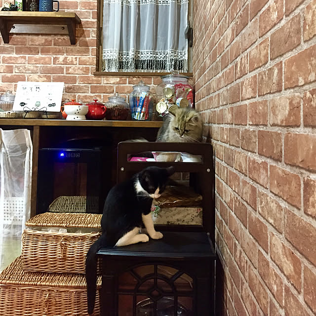 butachanさんの実例写真