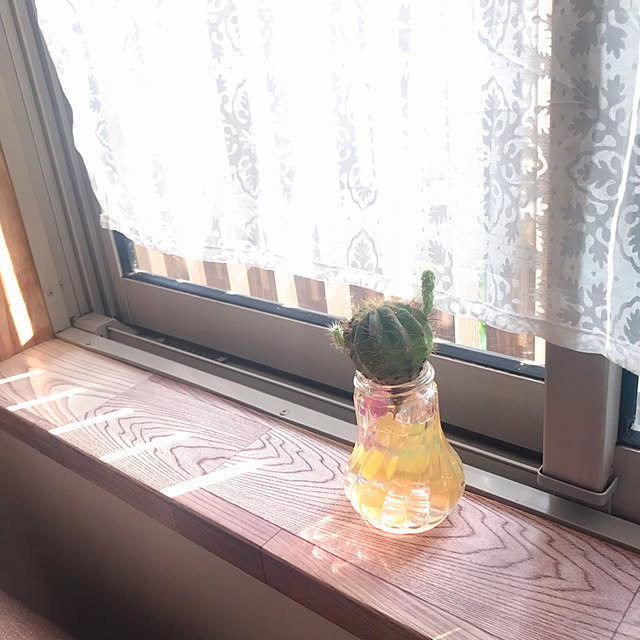 portulacaさんの実例写真