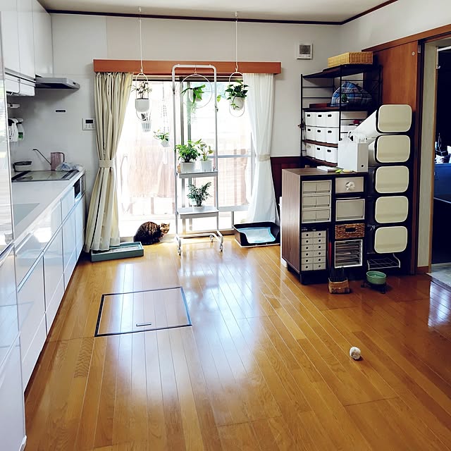 nachiさんの実例写真