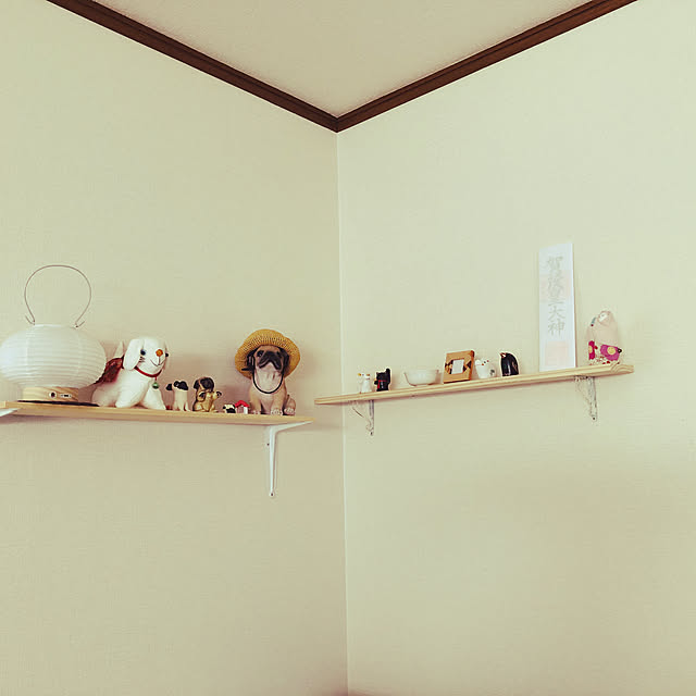 wadanorikodayoさんの実例写真