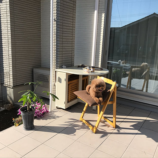 hanautatomochanさんの実例写真