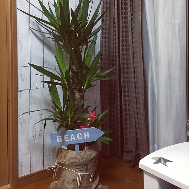 Mikaさんの実例写真