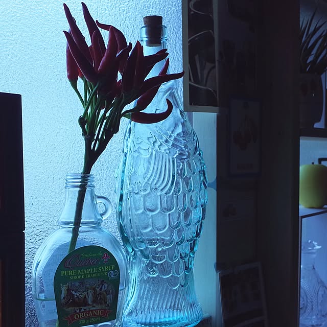 hilaさんの実例写真