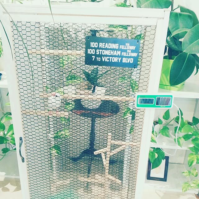 stk895さんの実例写真