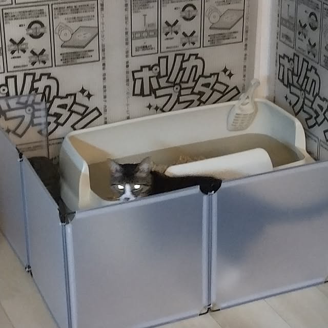 yuk.さんの実例写真