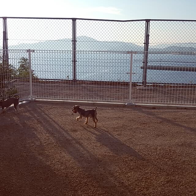 ma_d0_kaさんの実例写真