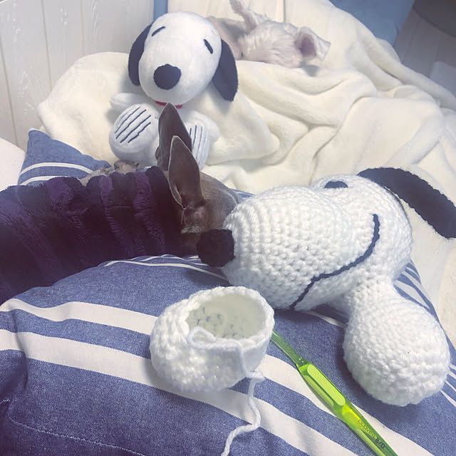 suzyさんの実例写真