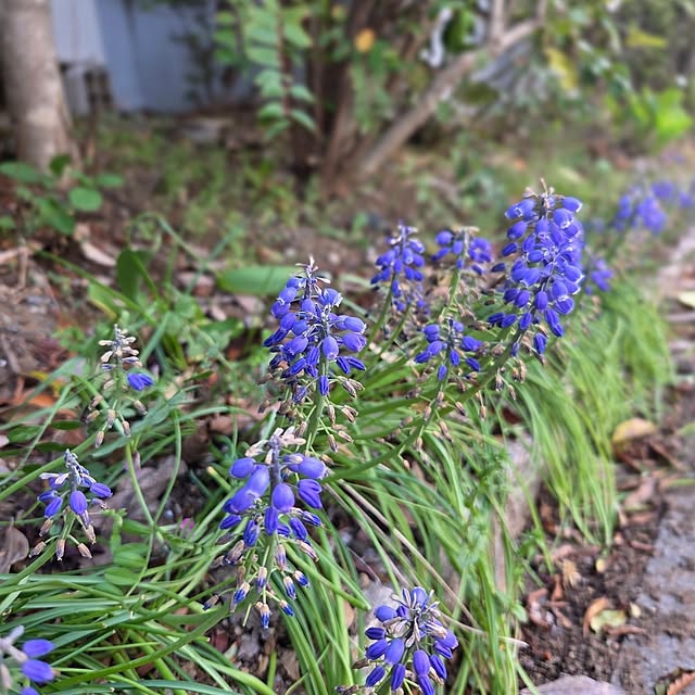 MARIE.color.interiorさんの部屋