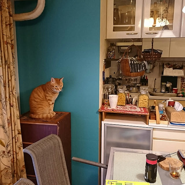 okyosan101さんの実例写真