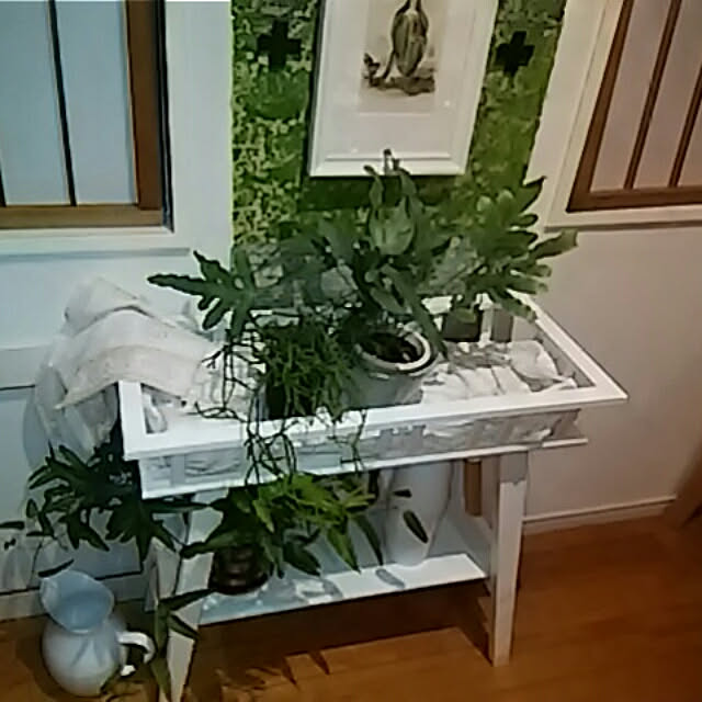 spinetailさんの実例写真