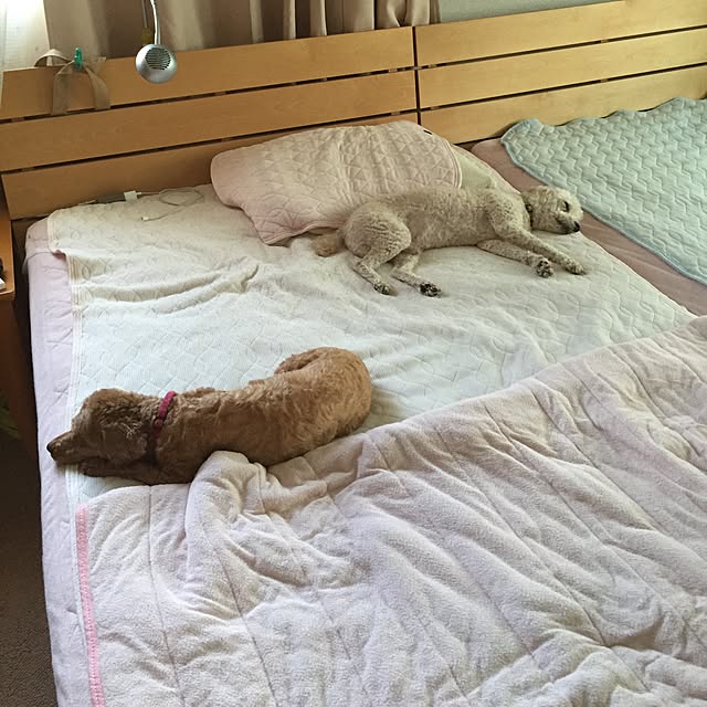 moonさんの実例写真
