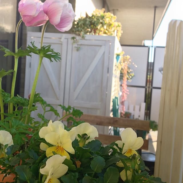 leonaさんの実例写真