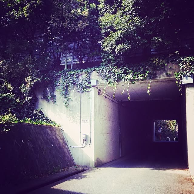 aknb08さんの実例写真
