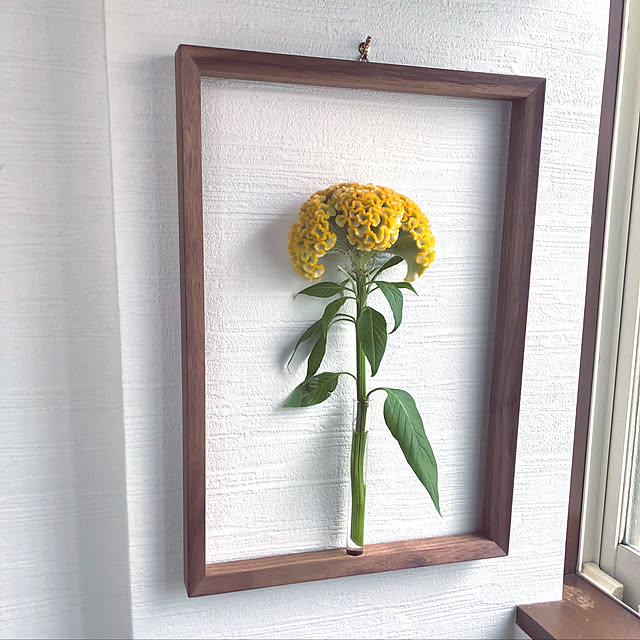 imhomeさんの実例写真
