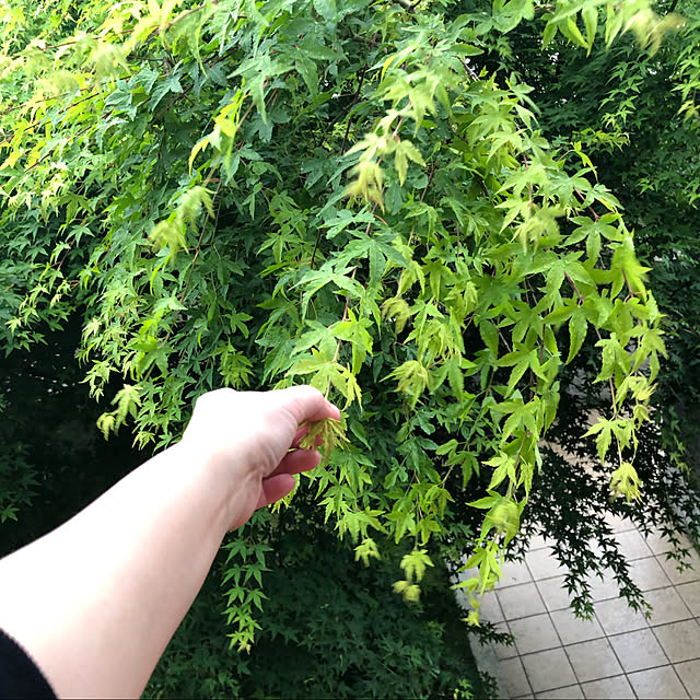 実例写真