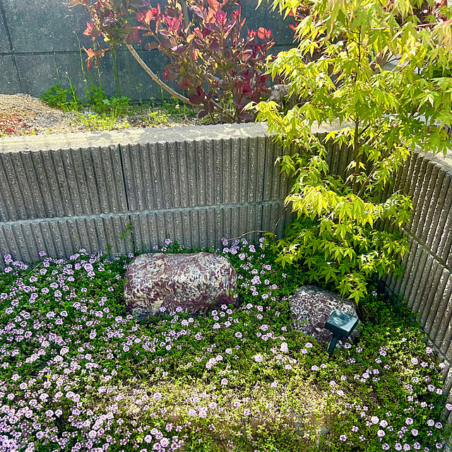 chiroさんの部屋