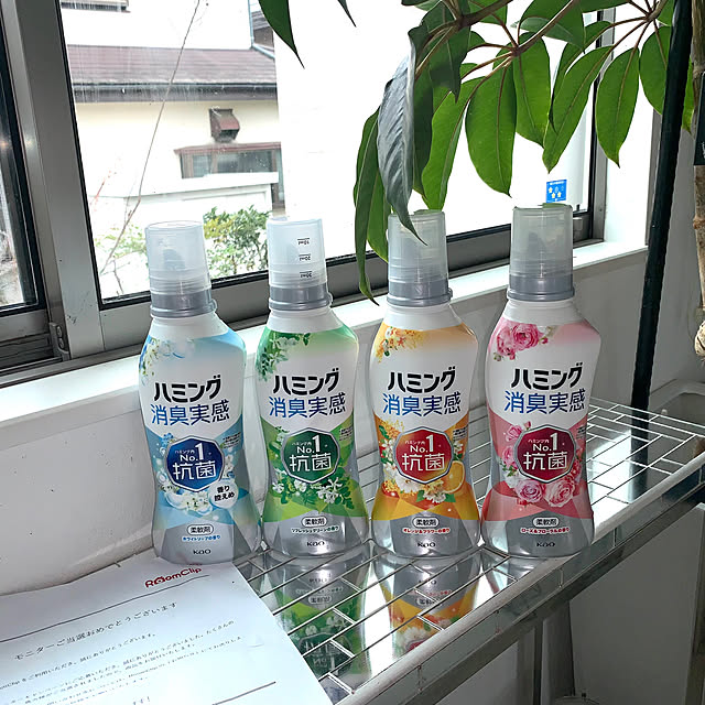 Tinoさんの部屋