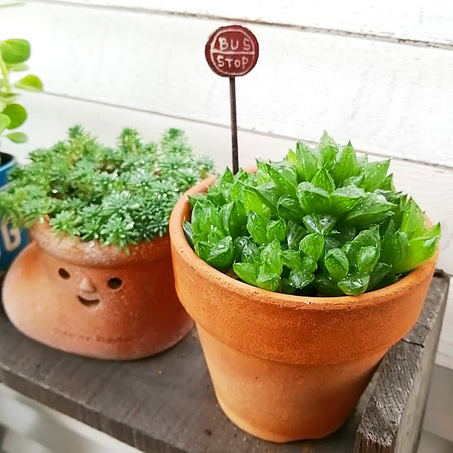 VERANDARJUNさんの実例写真