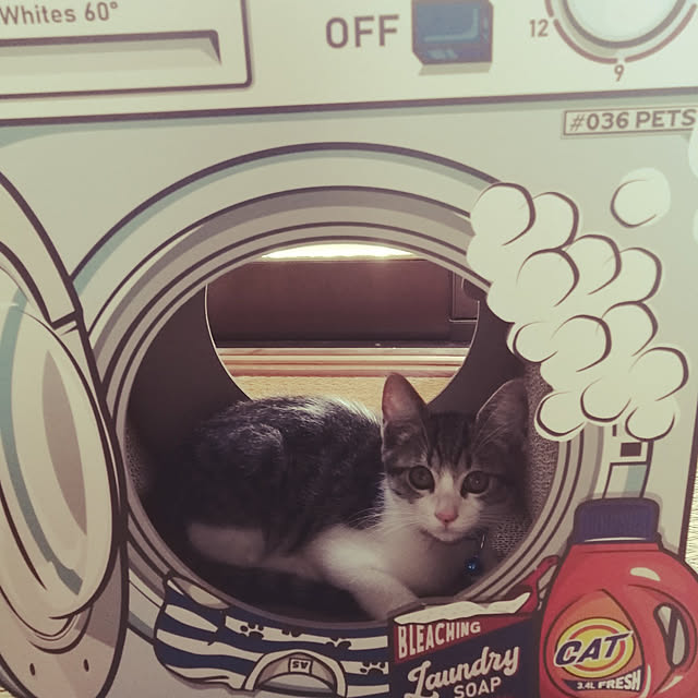 teruminさんの実例写真