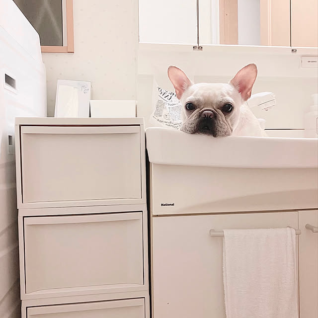sou_csyさんの実例写真