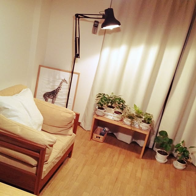 neko4053さんの実例写真