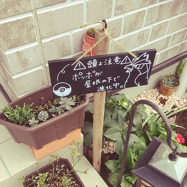 ibuaoさんの実例写真