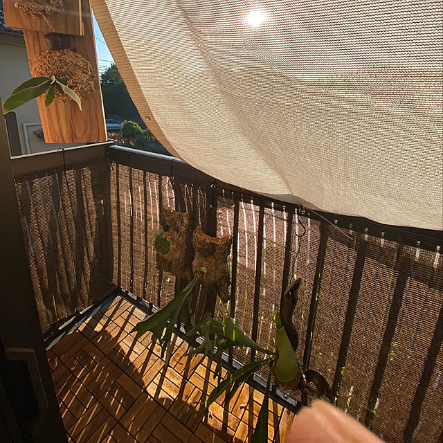 Aceさんの実例写真