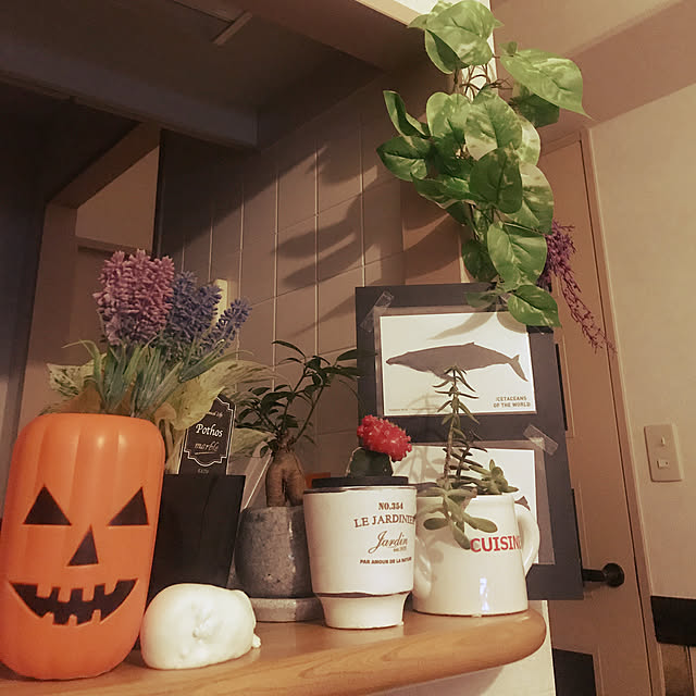 itsukiさんの実例写真