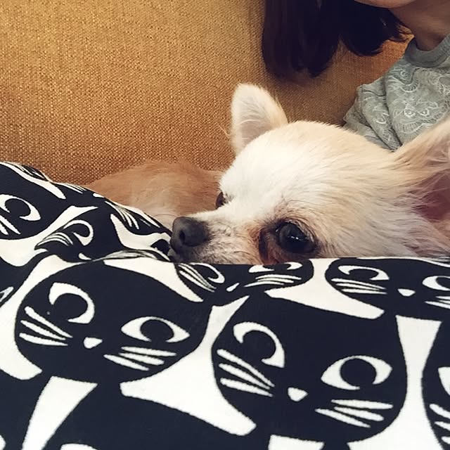 ayaya.hanaさんの実例写真