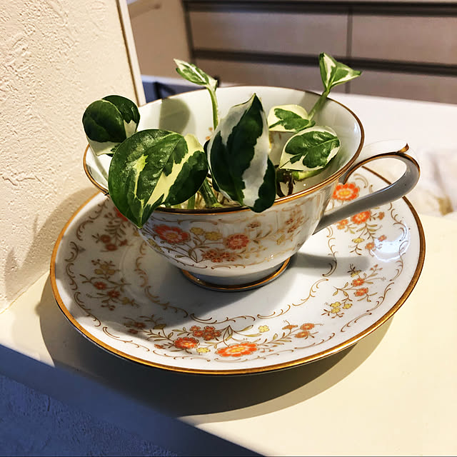 Takaさんの実例写真