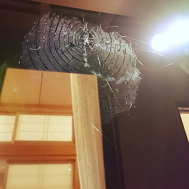 uchizukonyanさんの実例写真
